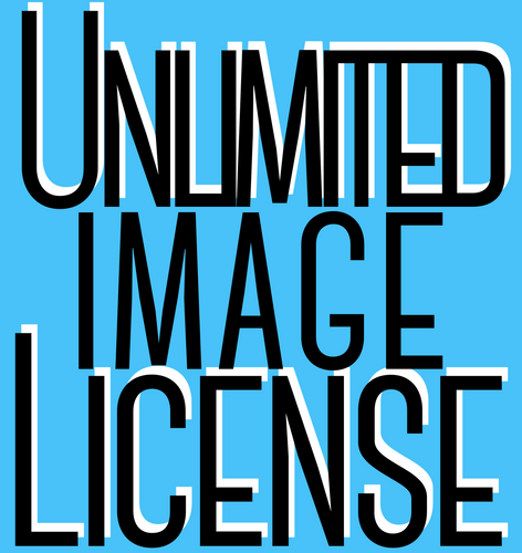 Digital Download UNLIMITED LICENSE- Commercial License *Entire Store* DESIGN ONLY